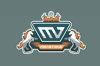 Maverick Valves